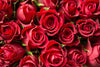 How To Draw a Rose: A Step-By-Step Tutorial