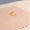 Hexagon Placemat pink cleaning